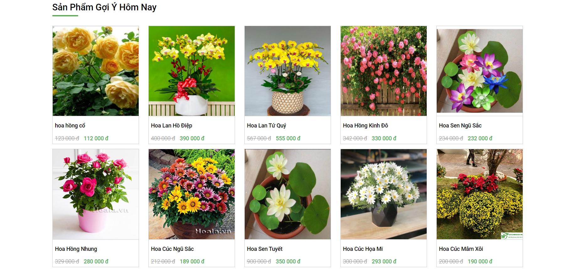 Full Code + Báo Cáo Đồ Án Website bán hoa tươi đạt 9.5đ môn Phát Triển Ứng Dụng WEB của chủ tus PHP Mysql có đầy đủ quản trị và người dùng