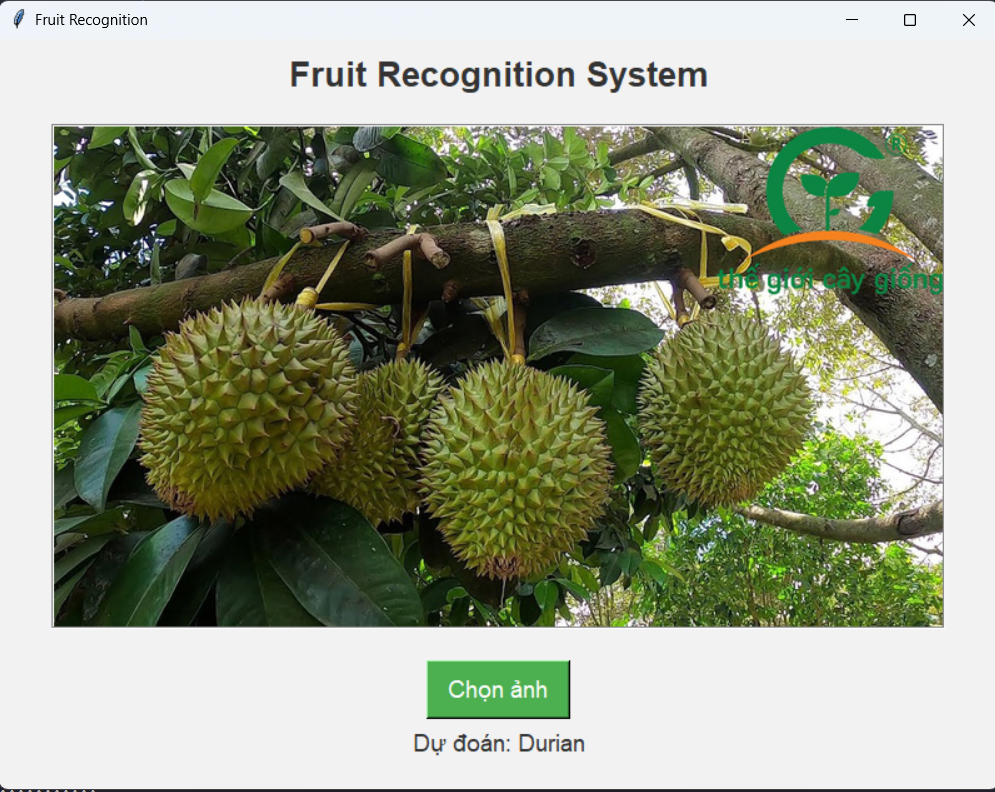Source code AI Ứng Dụng Trí Tuệ Nhân Tạo Nhận Diện Hoa Quả Với Python